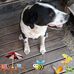 Sonja McCray - Facebook