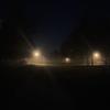 💕 - @noellesonja - TikTok