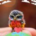 Sonya Peacock - Facebook
