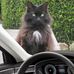 Sonja Peers - Facebook