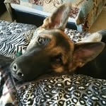 Sonja - @sonja_loves_peppers - Instagram