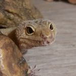 Sonja Perry - @sonja.perry.72 - Instagram
