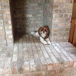 Sonja Perry - @sonja.perry.583 - Instagram