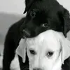 Sonja Petersen - @sonja21111996 - TikTok