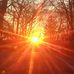 Sonja Platt - Facebook