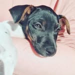 Prinsesse Sonja - @prinsesse_sonja_dsgh - Instagram