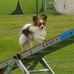 Sonja de Prins - Facebook