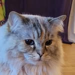 Sonja - @sonjaprinssesa - Instagram