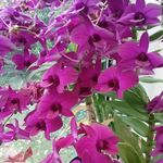Sonja Proctor - @sonja1930proctor - Instagram
