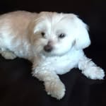 Sonja - @sonjapruss - Instagram