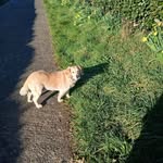 Sonja Denver - @sonja.quinn.9 - Instagram