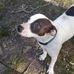 Sonja Ramsey - Facebook