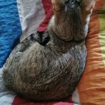 Sonja Rauscher - @rauscher.sonja - Instagram