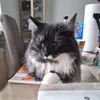 Sonja - @sonjarausch2 - TikTok