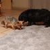 Sonja Richter - Facebook