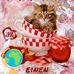 Sonja Richter - Facebook