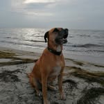 Sonja Richter - @sonjarichter67 - Instagram