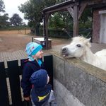 Sonja Müller-Rickert - @mullerrickert - Instagram