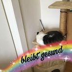 Sonja Rickert - Facebook