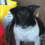 Sonja Rickert - Facebook