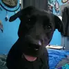 Sonia Ritchie - @sonia.ritchie3 - TikTok