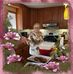 Sonja Ritchie - Facebook