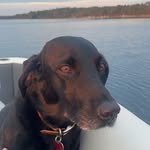 Sonja - @sonjaroach6 - Instagram