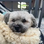 Sonja Sauer - @sauersonja29 - Instagram