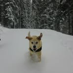 Sonja Sauer-Spitz - Facebook