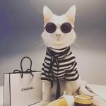 Sonja-lioba Schmitt - @sonjalioba - Instagram