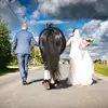 sonja_schmitt - @sonja_schmitt - TikTok