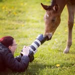 Sonja Schmitt Fotografie - @sonja_schmitt_fotografie - Instagram