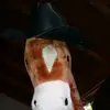 love_hobbyhorseing - @sonjaschoenbrod - TikTok