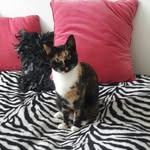 sonja - @sonja.schoenmakers - Instagram