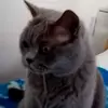 Любовь 🥰 - @sonjaschreiber7 - TikTok