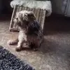Sonja Schreiber227 - @sonjaschreiber227 - TikTok