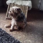 Sonja Schreiber - @schreiber.sonja - Instagram