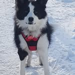 Sonja Schreiber - @sonja.schreiber.121 - Instagram