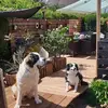 sonjaschreiber768 - @sonjaschreiber768 - TikTok