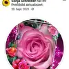 Sonni - @sonjaschreiber8 - TikTok