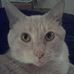 Sonja Smith - Facebook