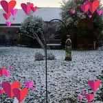 Sonja Smith - @sonja.smith.336717 - Instagram