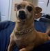 Sonja Smith - Facebook