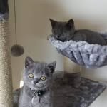 Sonja Steffen - @sonja.steffen.1 - Instagram
