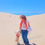 Sonja Steffens - @sonjamartsteffens - Instagram