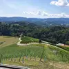 sonjasteiner488 - @sonjasteiner488 - TikTok