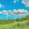 Sonja L. Stephens - @feili35 - TikTok