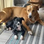 Sonja Stevens Clements - @slcsoccermom_40 - Instagram