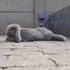 Sonja Strubbe - @sonja.strubbe3 - TikTok