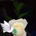 Sonja Marie Sweet - Facebook